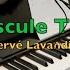 Hervé Lavandier Minuscule Theme Piano With Sheet Music