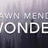 Shawn Mendes Wonder Lyrics