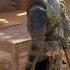 Assassin S Creed Origins Most Incredible Details