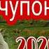 Трек хит 2020 репи чупон