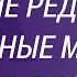 Самые редкие и необычные мужские имена в России