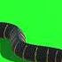 Green Screen Snake Animation Snake Green Screen Snake Green Screen Video Snake