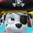 PAW Patrol La Pat Patrouille Se Déguise En Pirates Chevaliers Et Plus Encore Nickelodeon Jr