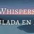 Vancouver Sleep Clinic Whispers Traducida Al Español