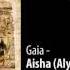 CD2 09 Gaia Aisha Future Sound Of Egypt Volume 1 Preview