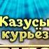 Приют комедиантов про нелепые и смешные ситуации Истории из жизни знаменитостей