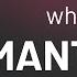 Mantissa What Is MANTISSA Definition