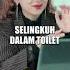 Selingkuh Di Dalam Toilet