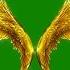 Green Screen Angels Flapping Gold Wings Particles Footage PixelBoom