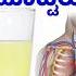 ನ ಬ ಹಣ ಣ ನ ನ ರ ಶ ಠ ಏನ ಗ ತ ತ Lemon Benefits In Kannada Nimbe Hannina Benefits In Kannada