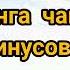 Чунга чанга минусовка