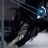 Prey Does This Nightmare Not Terrify You