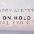 Ziggy Alberts On Hold Official Lyric Video