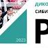 Дикоросы форум сибирского гостеприимства Событие 21 от 14 04 2023 РБК Новосибирск