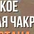 Вторая чакра Свадхистана Сакральная чакра Где находится За что отвечает Как сбалансировать