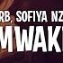 Zerb Mwaki Feat Sofiya Nzau