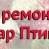 Малина ремонтантная Жар Птица Обзор посадка и уход саженцы малины описание и особенности