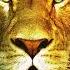 Lion Roar Epic Orchestral Music