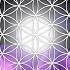 417Hz 528Hz VIOLET FLAME FLOWER OF LIFE REMOVE NEGATIVE ENERGIES BLOCKAGES REIKI