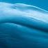 Blue Whales Return Of The Giants Official Trailer 4K SK Films