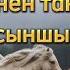 Тұлпарды тезегінен танитын сыншы аудиокнига аңыз ғибраттыәңгімелер