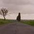 Relaxing Sounds Of Light Rain And Soothing Wind Blowing Through Vegetation On An Abandoned Road 4K