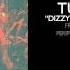 Turnover Dizzy On The Comedown Official Audio