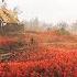 СОЛО на МАКСИМАЛЬНОЙ СЛОЖНОСТИ в STALKER 2 HEART OF CHORNOBYL