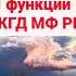 Приказ вводится в действие с 21 июня 2024 года В Положение о Комитете государственных доходов