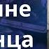 Что ждать Украине до конца ноября Елена Бюн