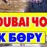 КӨК БӨРҮ ASKAR AUTO DUBAI чоң улак берип АВТО УНАА койду 1992 жылкылар ӨТӨ КАТУУ ОЙНОШТУ