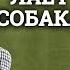 Пусть лает собака Радиоспектакль по повести Юрия Германа 1988