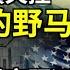 財經 完全失控 三四線城市房價如脫韁野馬 川賀誰入主白宮 最準經濟學家預測顛覆美國經濟 中國億萬富豪人數減少三分之一 首富們紛紛翻臉 中國房企爆雷衝擊家居業 比亞迪輔助駕駛評級歷來最差 阿波羅網