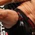 Top Finishes Fabricio Werdum