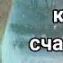 Лев Толстой о любви и не только Лучшие цитаты гения русской литературы