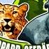 Leopard Seebär Co Best Moments 13 Aus Folge 96 Und 97 Clips Funny