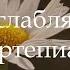 Звук Расслабляющего Пианино Музыка для Бодрости Пробуждения и Хорошего Настроения