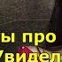 Приметы про пауков Увидели паучка к чему бы это