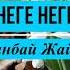 Неге неге Тұрғанбай Жайлаубаев Ақ көңілді ақ арманым не болып жүр саған жаным Әні мен сөзі текст