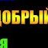 Заметки 161 Пастырь добрый Надежда Попова впечатления после прочтения книги