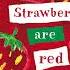 Strawberries Are Red 06 Song