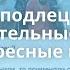 Сила и Значение Слов негодяй мерзавец подлец сволочь первый блин Комом Пирамида Знаний