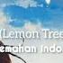 Lemon Tree Blue Blue Sky Remix Ft Gustixa Lirik Dan Terjemahan Bahasa Indonesia