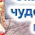 Сказание об иконе Скоропослушница и чудесах от нея составленное рабом Божиим Василием