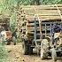 Small Tractors Transport Wood From Winding Forest Roads