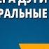 Градусная мера дуги окружности Центральные углы