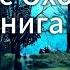 Кодекс Охотника Книга 2 Увлекательная аудиокнига для настоящих фанатов