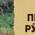 Намози пешин дар рӯзи ҷумъа