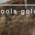 Passenger Fools Gold Official Album Audio