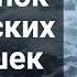 Поступок чеченских девушек шейх Абдуллах Костекский